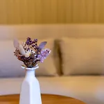 Bed & Breakfast Au Cheval Noir Quaedypre